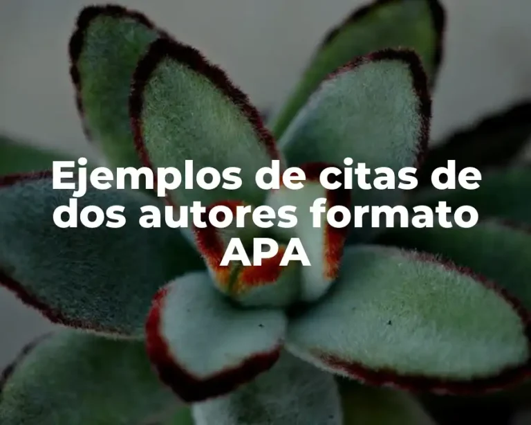Ejemplos de citas de dos autores formato APA