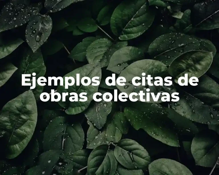 Ejemplos de citas de obras colectivas