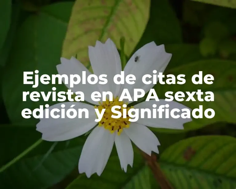 Ejemplos de citas de revista en APA sexta edición y Significado