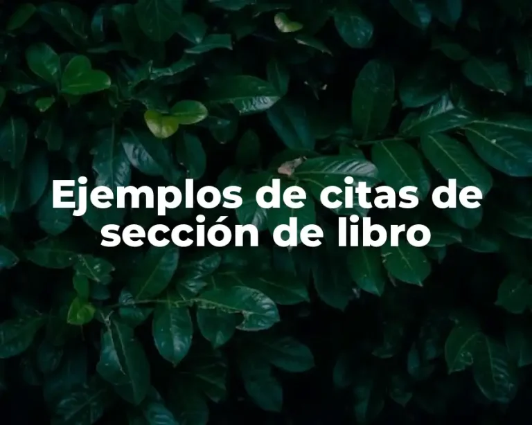 Ejemplos de citas de sección de libro