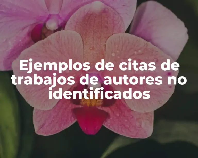 Ejemplos de citas de trabajos de autores no identificados