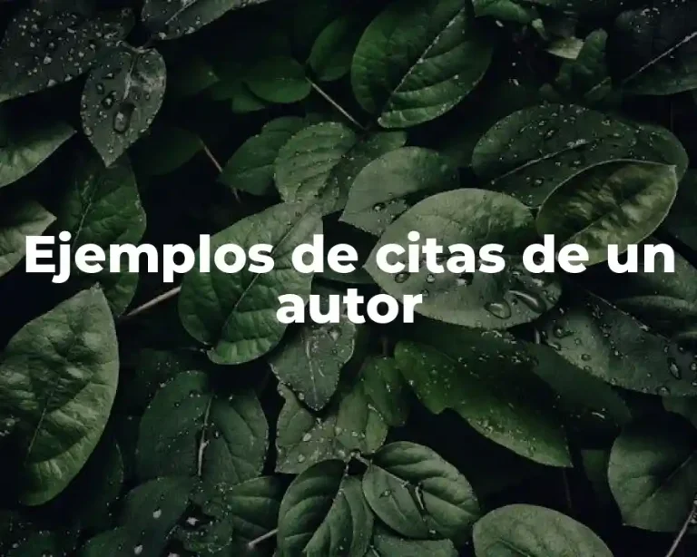 Ejemplos de citas de un autor