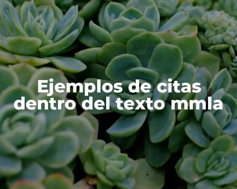 Ejemplos de citas dentro del texto mmla