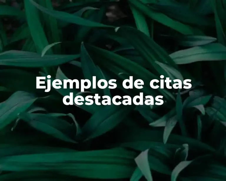 Ejemplos de citas destacadas