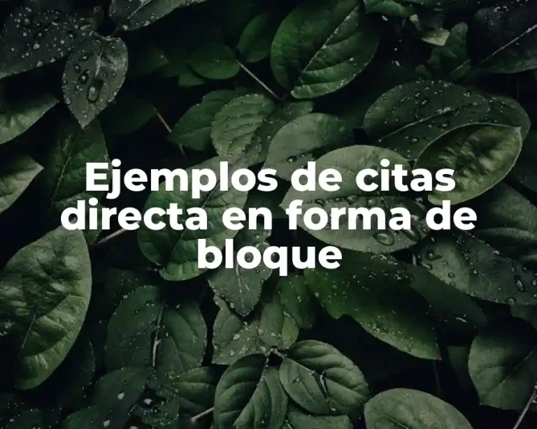 Ejemplos de citas directa en forma de bloque