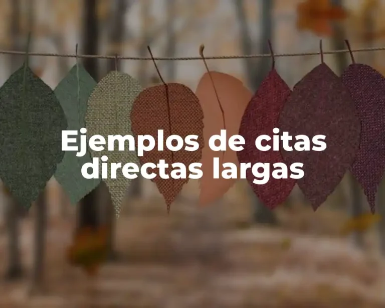 Ejemplos de citas directas largas
