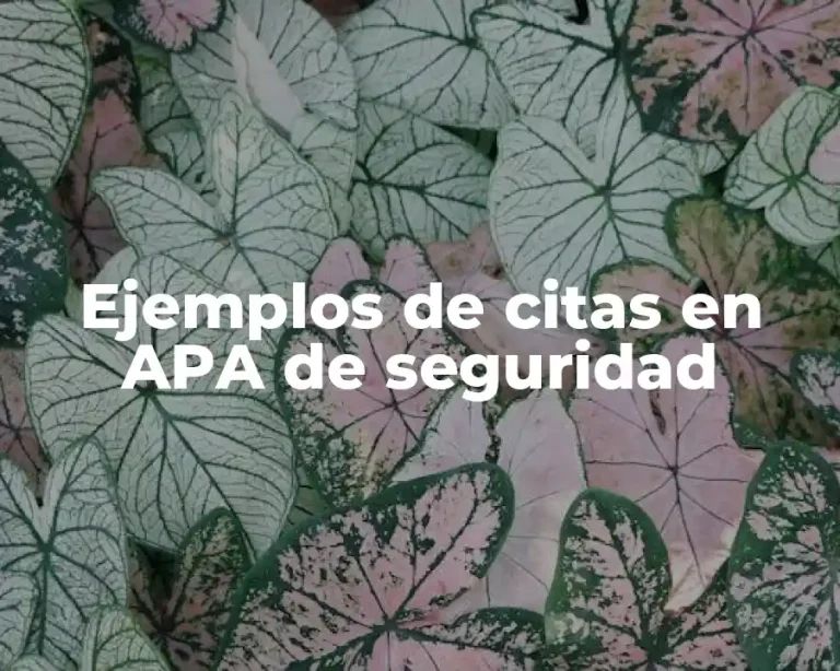 Ejemplos de citas en APA de seguridad