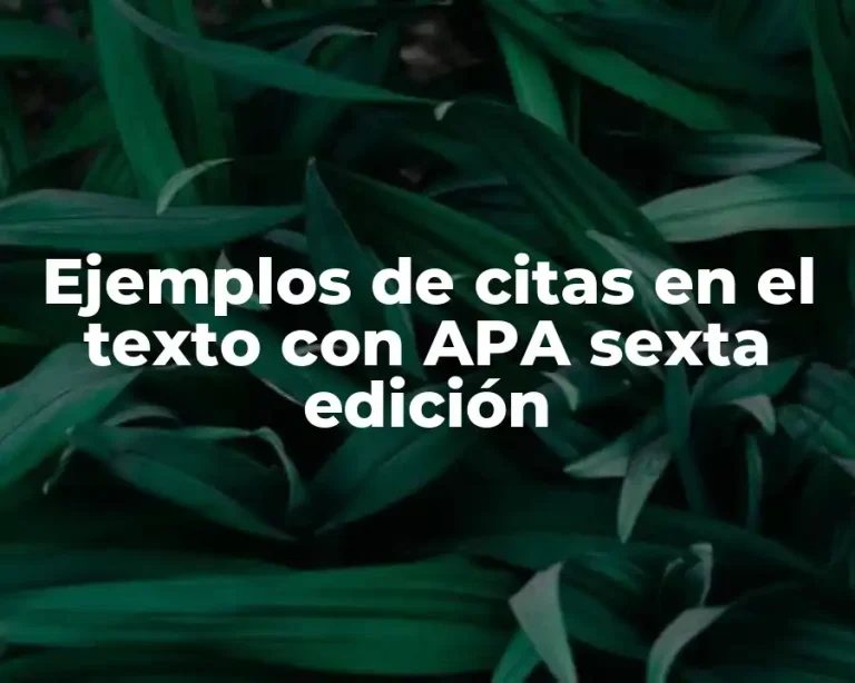 Ejemplos de citas en el texto con APA sexta edición