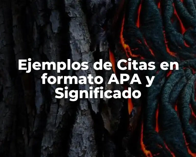 Ejemplos de Citas en formato APA y Significado