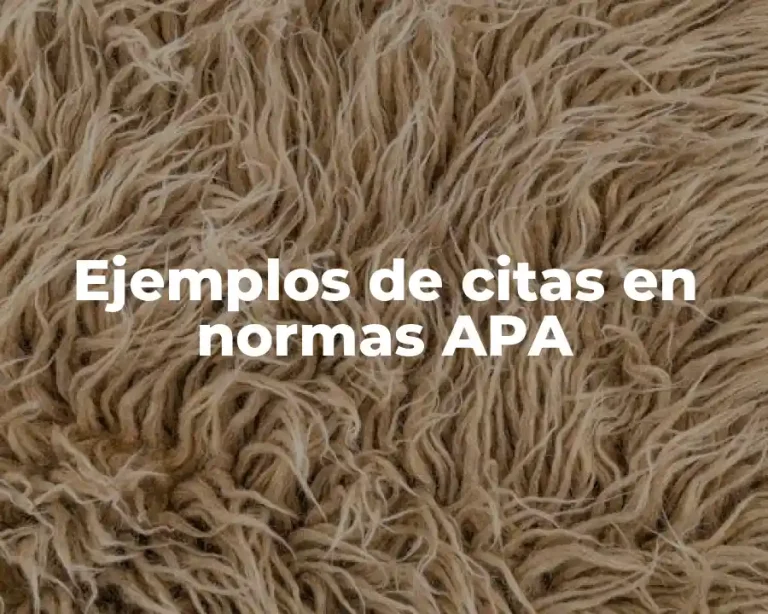 Ejemplos de citas en normas APA