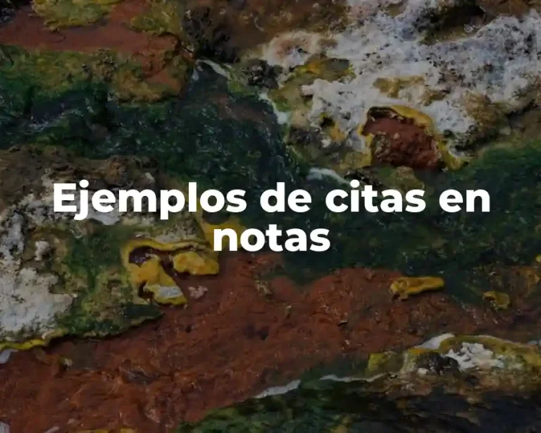 Ejemplos de citas en notas
