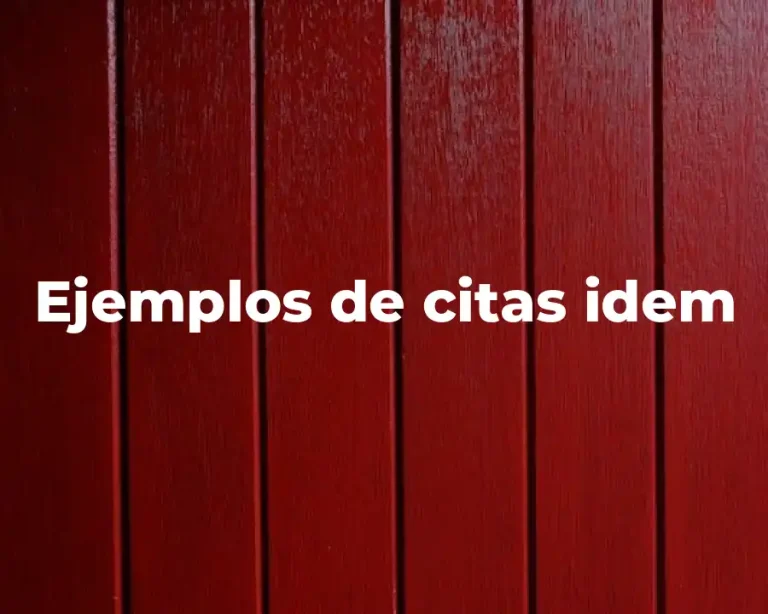 Ejemplos de citas idem