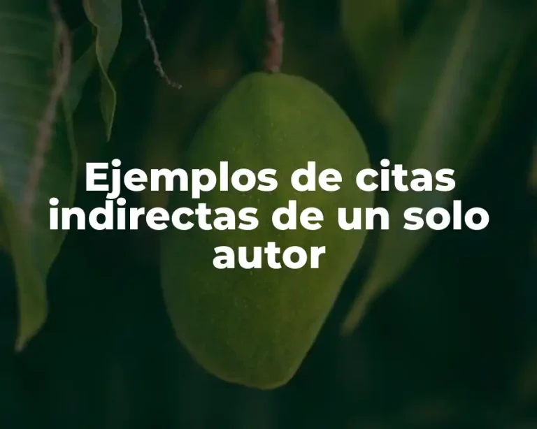 Ejemplos de citas indirectas de un solo autor