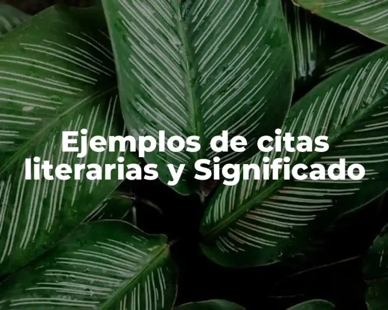 Ejemplos de citas literarias y Significado