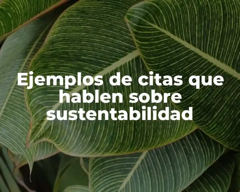 Ejemplos de citas que hablen sobre sustentabilidad