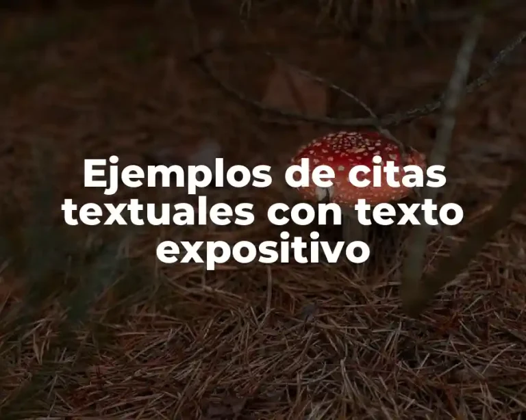Ejemplos de citas textuales con texto expositivo
