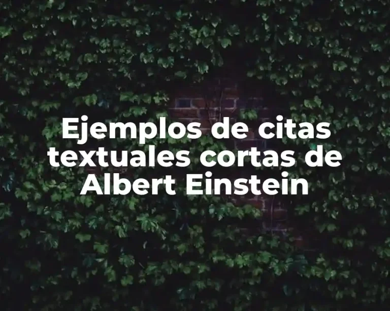 Ejemplos de citas textuales cortas de Albert Einstein