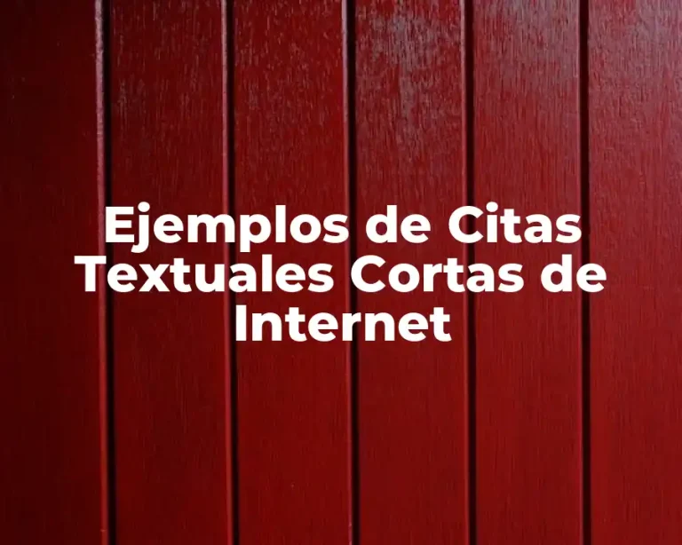 Ejemplos de Citas Textuales Cortas de Internet