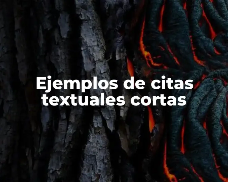 Ejemplos de citas textuales cortas