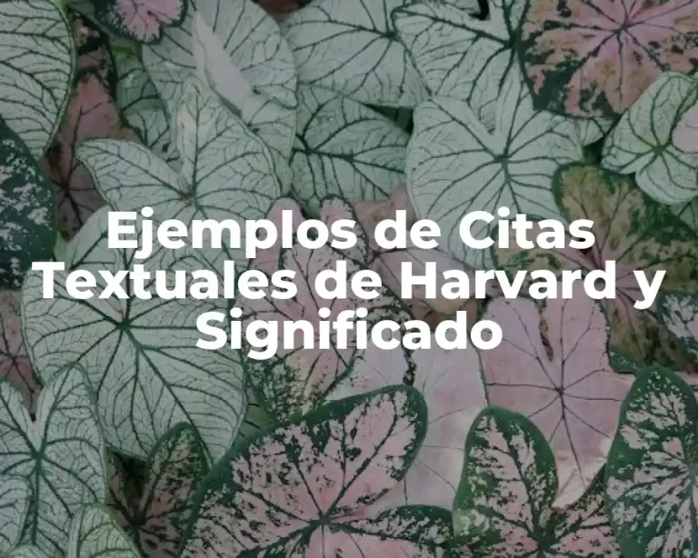 Ejemplos de Citas Textuales de Harvard y Significado