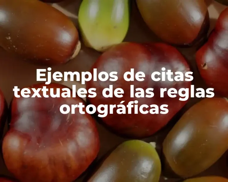 Ejemplos de citas textuales de las reglas ortográficas