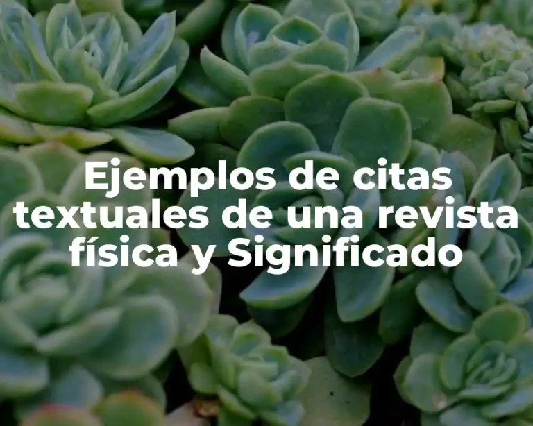 Ejemplos de citas textuales de una revista física y Significado