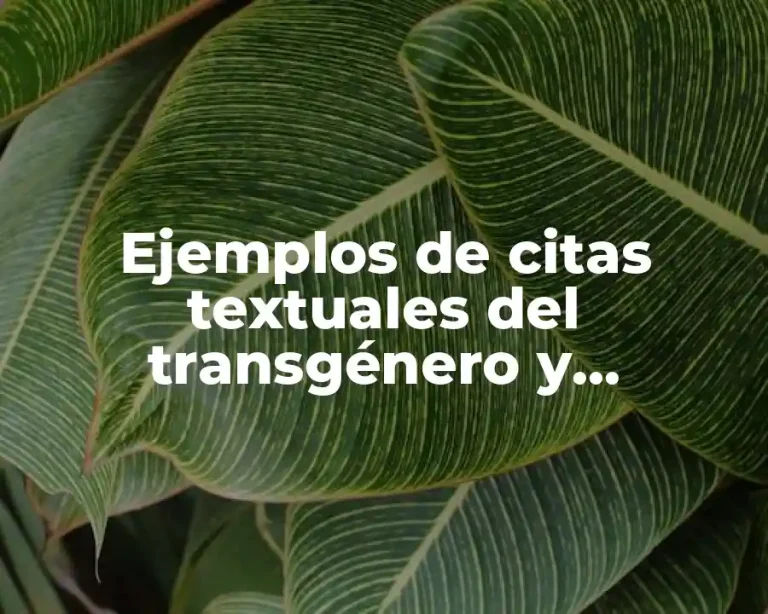 Ejemplos de citas textuales del transgénero y Significado