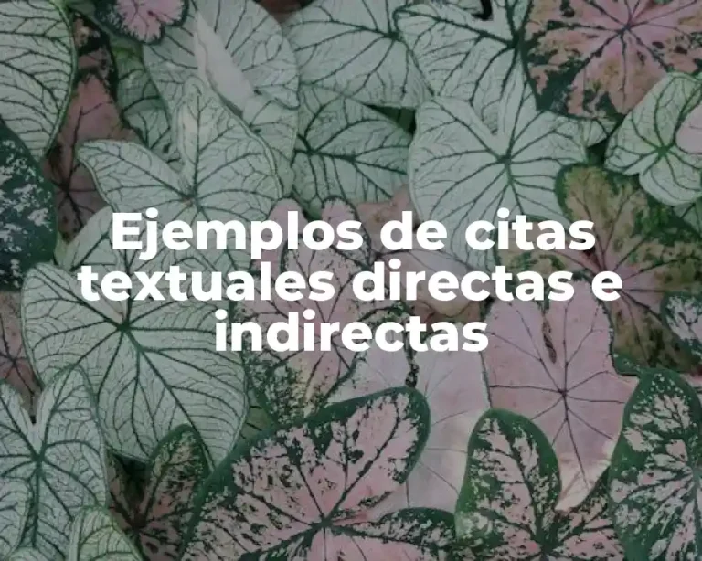 Ejemplos de citas textuales directas e indirectas