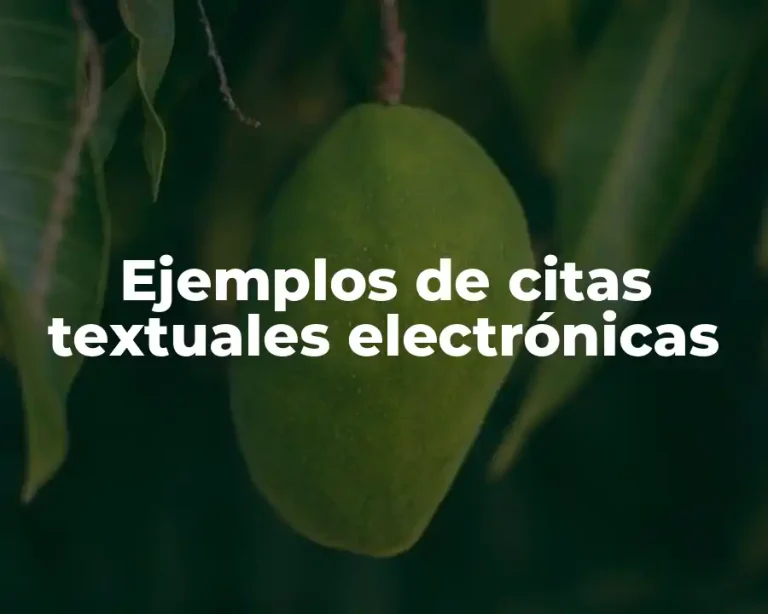 Ejemplos de citas textuales electrónicas