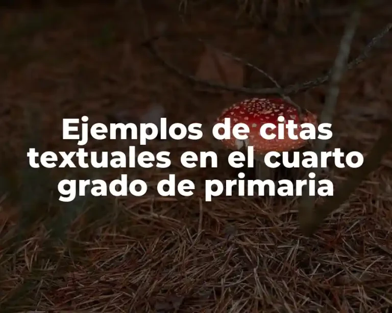 Ejemplos de citas textuales en el cuarto grado de primaria
