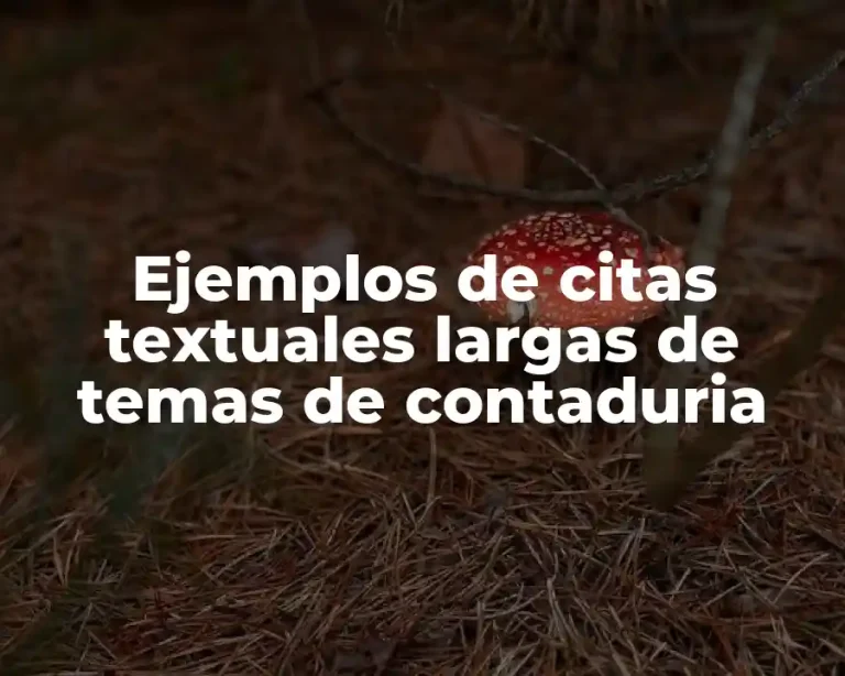 Ejemplos de citas textuales largas de temas de contaduria