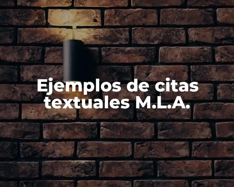 Ejemplos de citas textuales M.L.A.