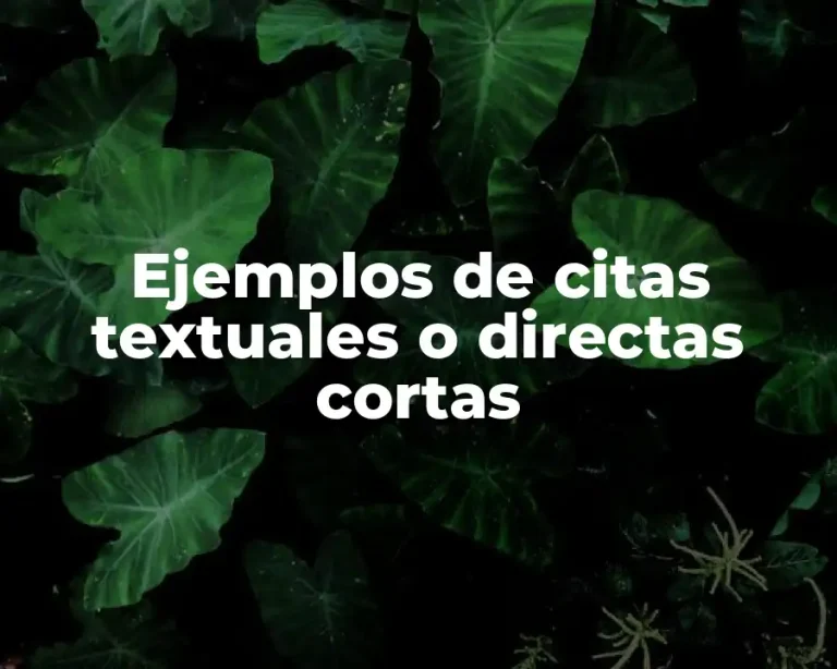 Ejemplos de citas textuales o directas cortas
