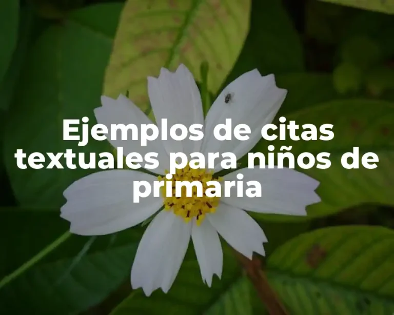 Ejemplos de citas textuales para niños de primaria