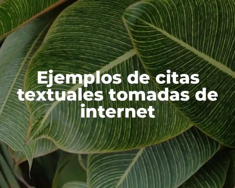 Ejemplos de citas textuales tomadas de internet