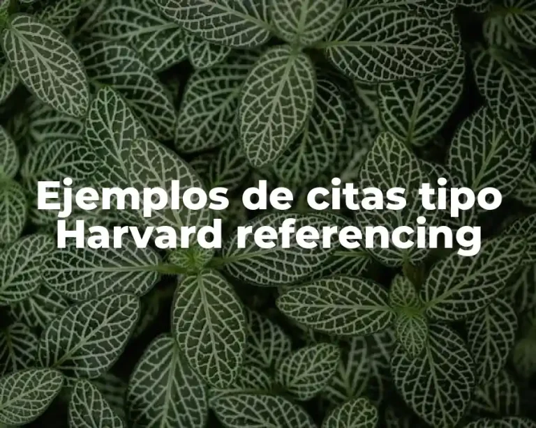 Ejemplos de citas tipo Harvard referencing