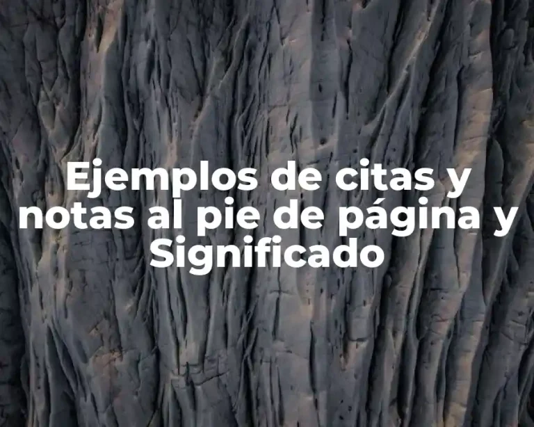 Ejemplos de citas y notas al pie de página y Significado