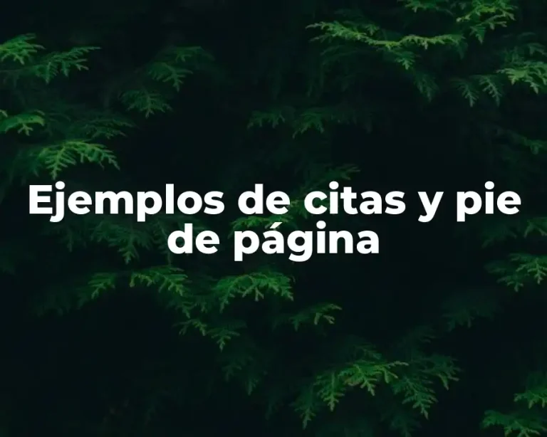 Ejemplos de citas y pie de página