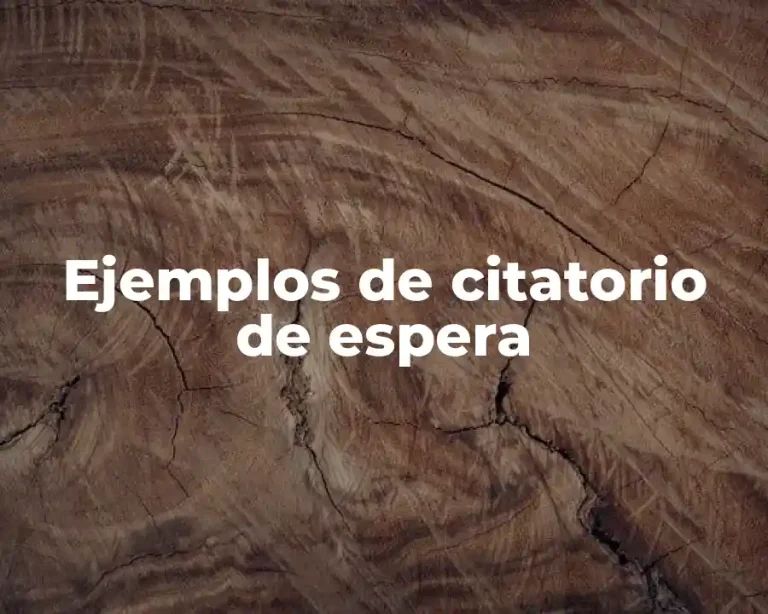 Ejemplos de citatorio de espera