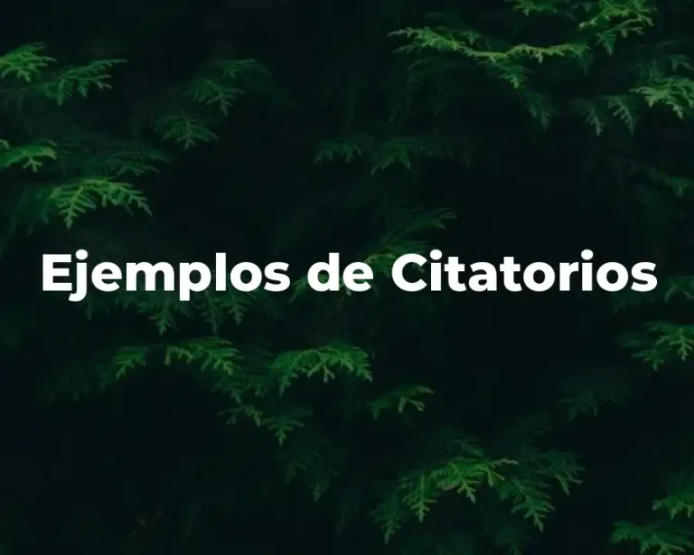 Ejemplos de Citatorios