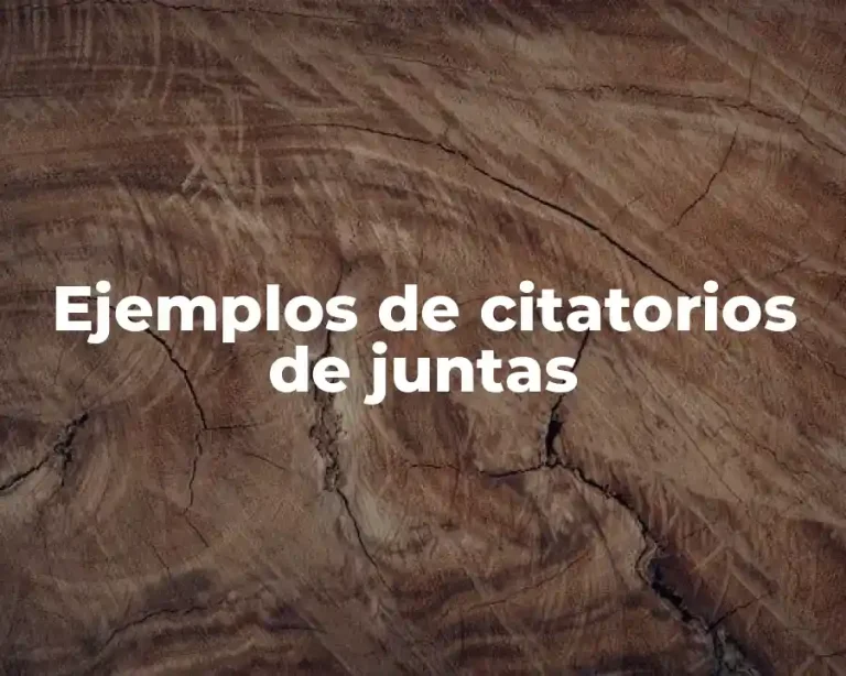 Ejemplos de citatorios de juntas