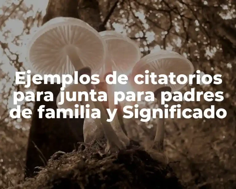 Ejemplos de citatorios para junta para padres de familia y Significado