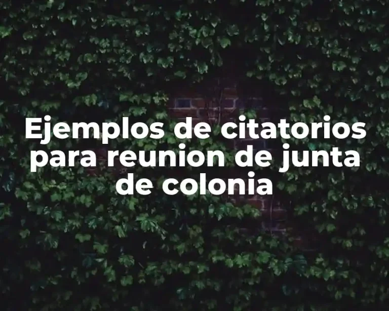 Ejemplos de citatorios para reunion de junta de colonia