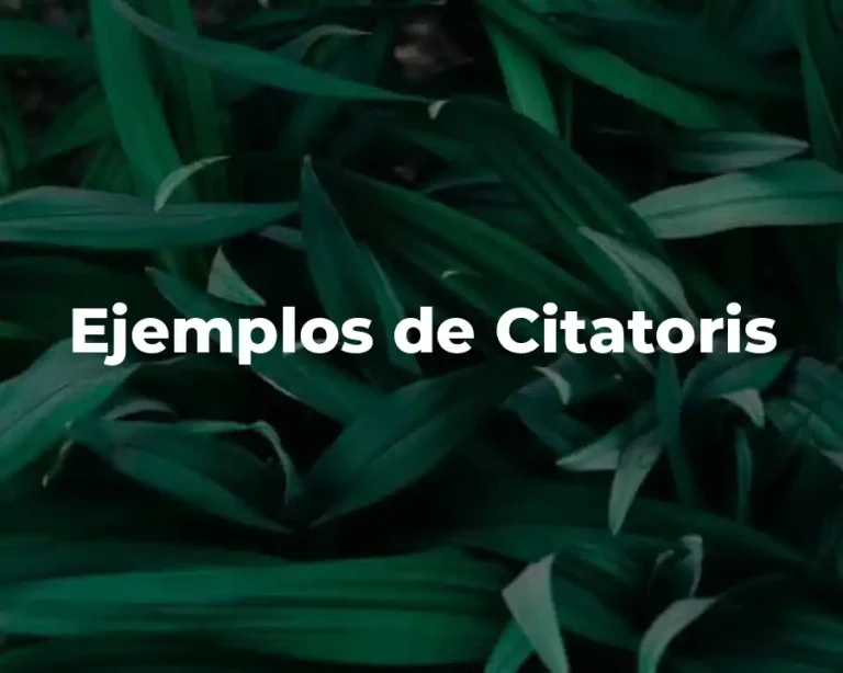 Ejemplos de Citatoris