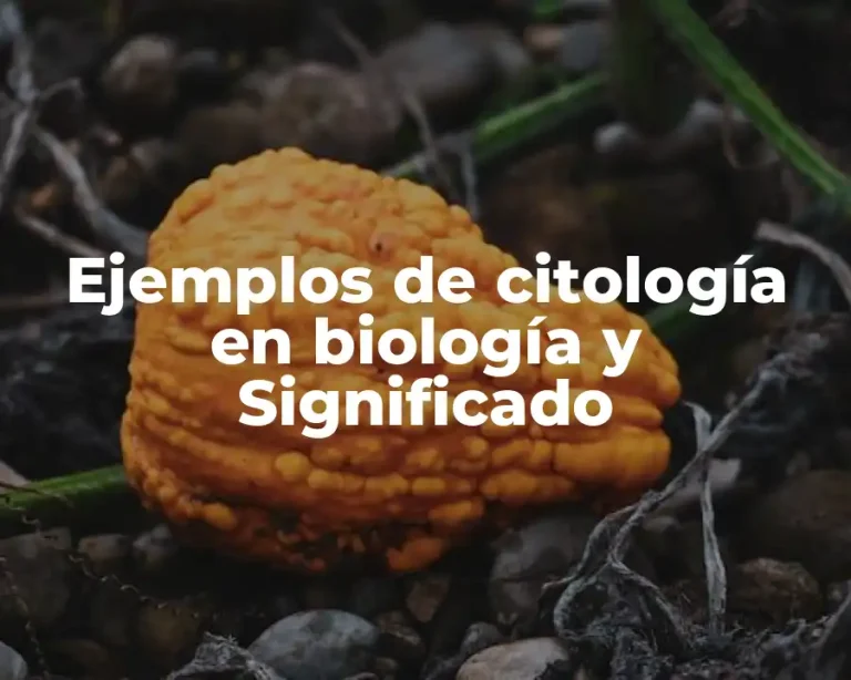 Ejemplos de citología en biología y Significado