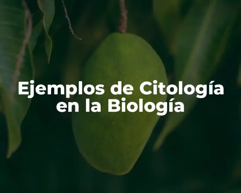 Ejemplos de Citología en la Biología