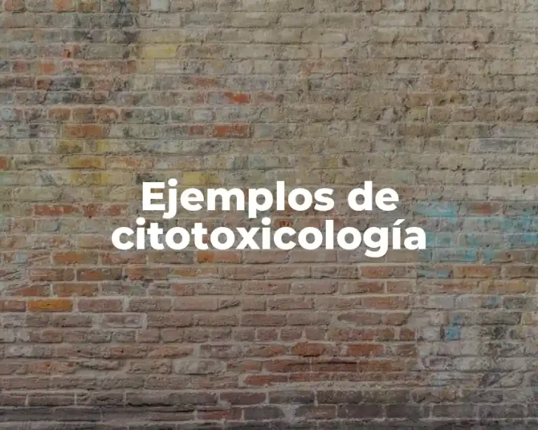 Ejemplos de citotoxicología