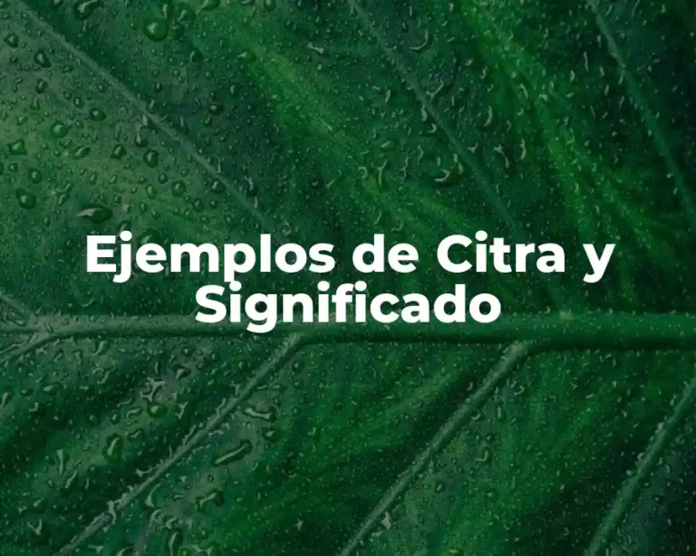Ejemplos de Citra y Significado