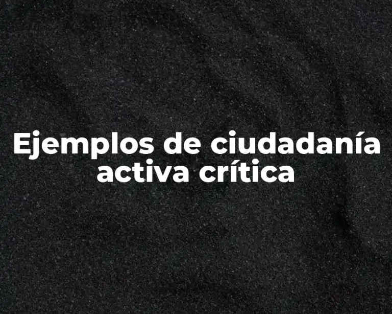 Ejemplos de ciudadanía activa crítica