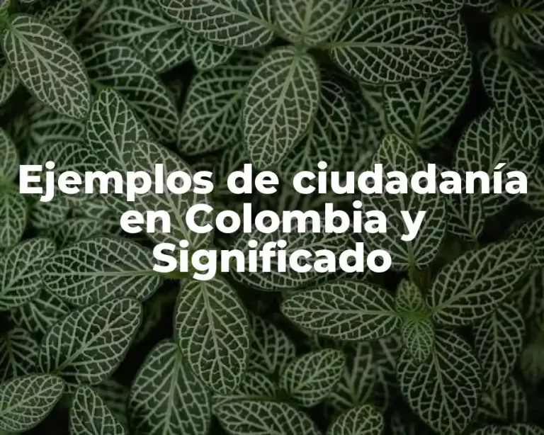 Ejemplos de ciudadanía en Colombia y Significado